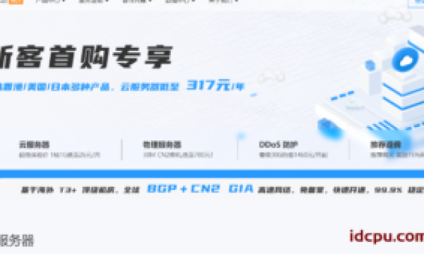 选择租用美国CN2服务器有什么要注意的？