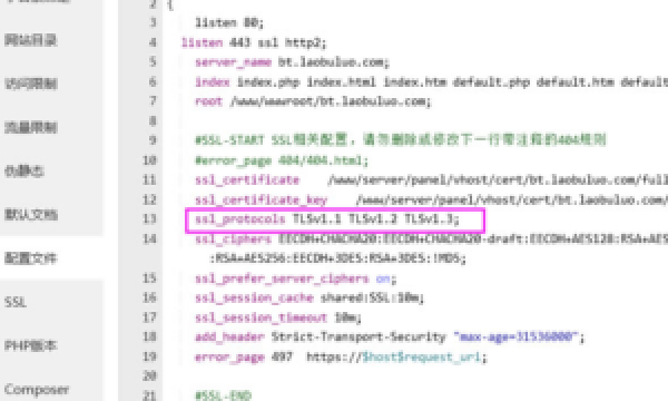 基于宝塔windows面板开启TLS 1.3且设置DNS CAA和DNSSEC实现SSL评分A+