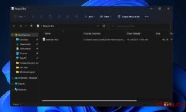 win11删除的文件怎么恢复? win11恢复已删除文件的多种方法