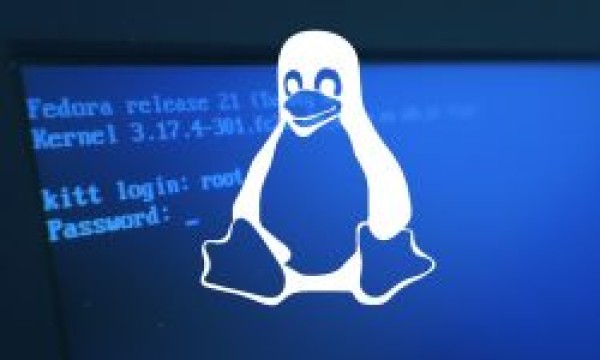 Linux 下查找文件的最优选择？Find 命令的7种用法，太全了！