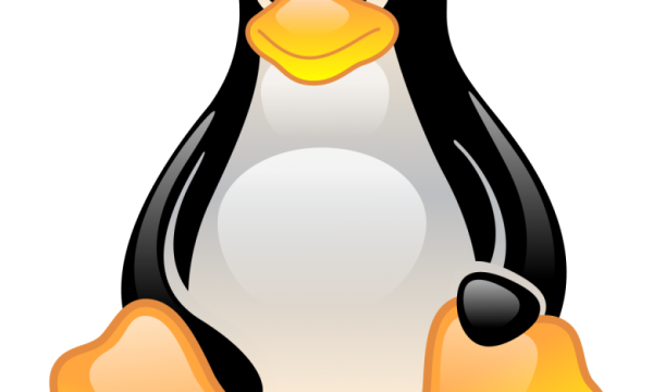 Linux经典入门教程