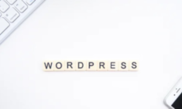 关于WordPress利用代码或者插件实现网站关闭维护状态的操作方法