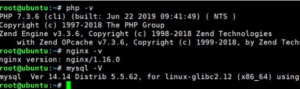 关于宝塔Linux如何查看Nginx、PHP、MySQL版本的方法插图