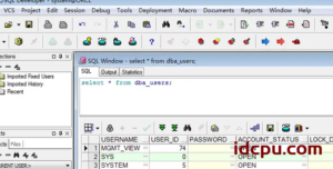 PL/SQL Developer连接本地Oracle 11g 64位数据库教程方法操作插图8