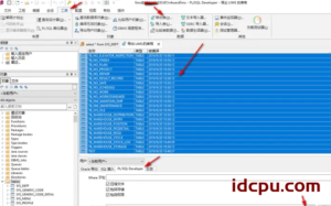 PL SQL Developer 13连接Oracle数据库并导出数据详细操作教程方法插图3