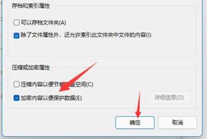 如何给Win11文件夹加密？Win11加密文件夹教程插图3