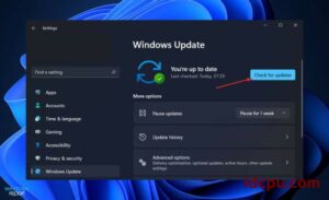 win11系统出现Windows Live照片库加载photoviewer.dll错误修复教程插图3